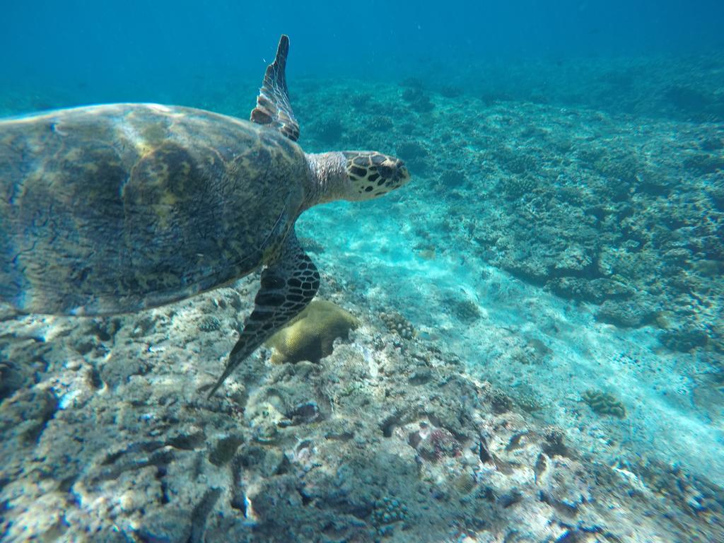 Maldives Seashine Hotel Đảo Đảo Huraa Ngoại thất bức ảnh